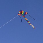 bird-scaring-kites-delta-scarem-11
